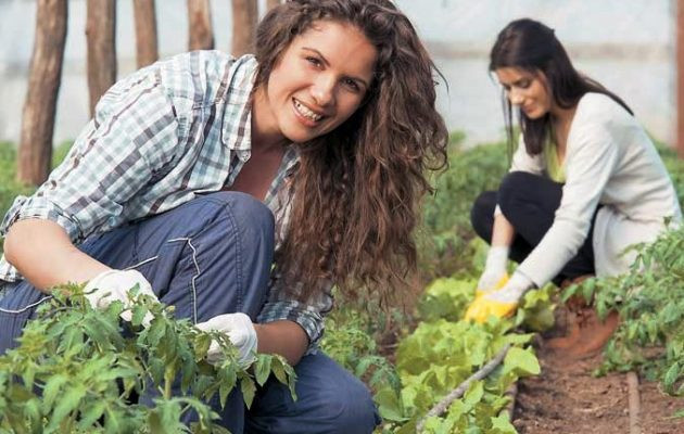 Σχολάζουσες Γαίες: Να ξαναζωντανέψουμε την ύπαιθρο με χιλιάδες θέσεις εργασίας στην πρωτογενή παραγωγή